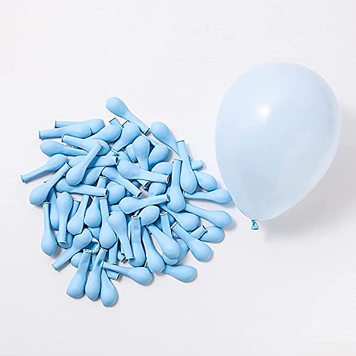 Blue Pastel Latex Balloon